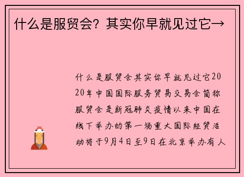 什么是服贸会？其实你早就见过它→