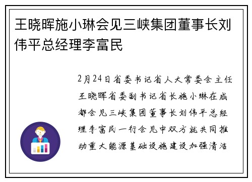 王晓晖施小琳会见三峡集团董事长刘伟平总经理李富民