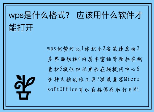 wps是什么格式？ 应该用什么软件才能打开