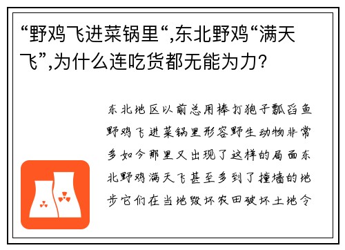 “野鸡飞进菜锅里“,东北野鸡“满天飞”,为什么连吃货都无能为力？