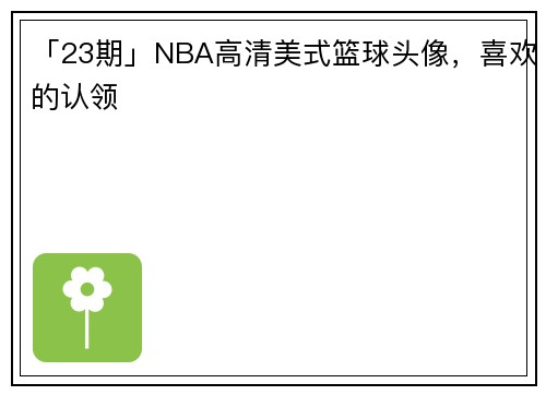 「23期」NBA高清美式篮球头像，喜欢的认领