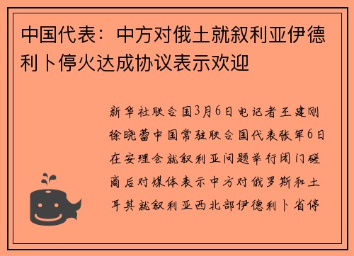 中国代表：中方对俄土就叙利亚伊德利卜停火达成协议表示欢迎